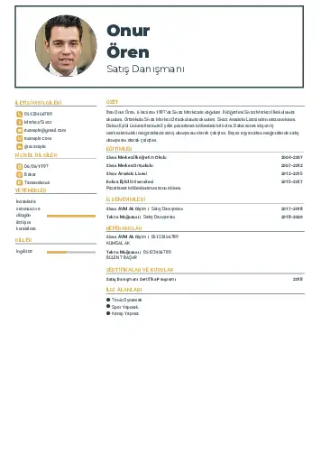 cv indir
